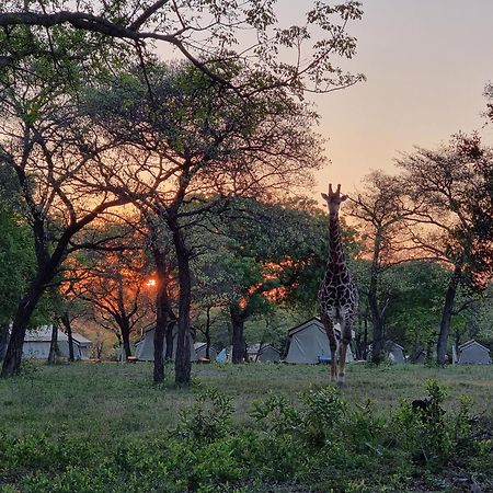 Unyati Safari Lodge Hectorspruit ภายนอก รูปภาพ